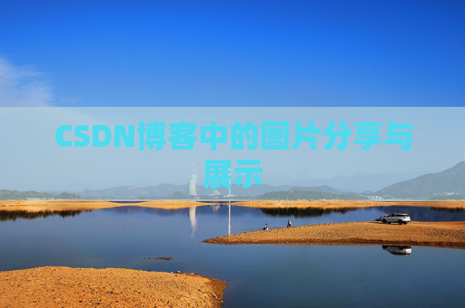 CSDN博客中的图片分享与展示